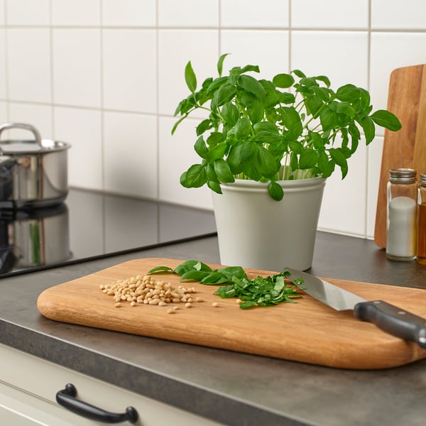 Schneidebrett aus Holz mit Messer und gehacktem Essen neben einer grünen Topfpflanze auf der Küchentheke.