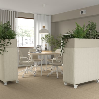 Modernes Büro mit schallabsorbierenden MITTZON Pflanzkästen. Hoch, beige, rechteckig, mit Rädern. Teilt den Raum, hält saftig grüne Pflanzen.