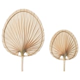 Zwei natürliche, handgefertigte Palmblatt-Wandfächer, einer größer, einer kleiner, beige Farbe, gewebte Textur, ovale Form.