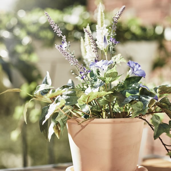 Pflanzgefäß aus Ton mit hellvioletten Blüten und grünen Blättern auf der Terrasse.