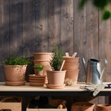 Holzregal mit Terrakotta-Töpfen mit Kräutern; In größeren Töpfen stehen kleinere, eine Gießkanne und Gartenhandschuhe an einer Holzwand.