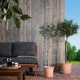 Große Terrakotta-MUSKOTBLOMMA-Töpfe mit Olivenbäumen neben dem Außensofa, Tablett mit Tassen und Kaffeemaschine auf dem Couchtisch.