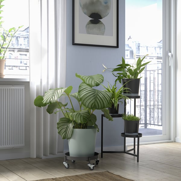 Wohnzimmer mit großer Pflanze, Topfpflanzen, Stadtblick, Kunst.
