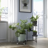 Wohnzimmer mit großer Pflanze, Topfpflanzen, Stadtblick, Kunst.