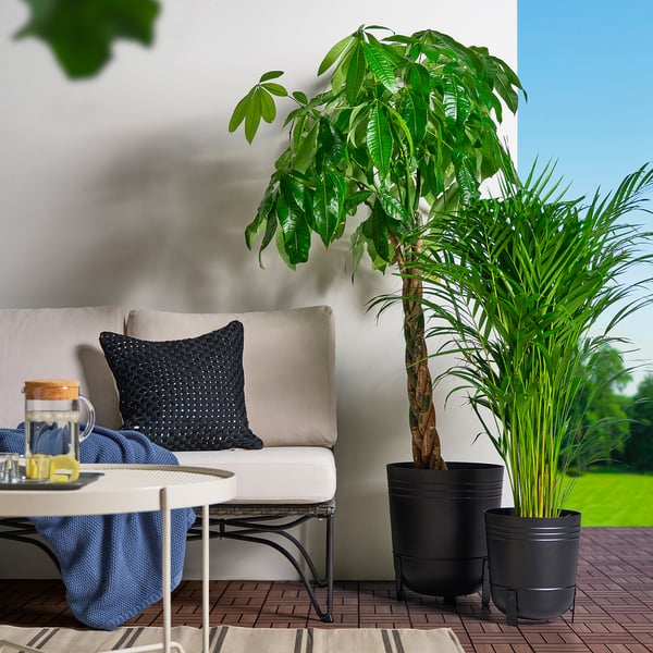 Große schwarze PÄRLRÖNN-Pflanztöpfe auf der Außenterrasse mit hohen grünen Pflanzen, neben einem weißen Sofa mit einem schwarzen Kissen.