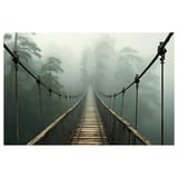 Nebelige Waldbrücke mit Holzbohlen und Metallseilen.