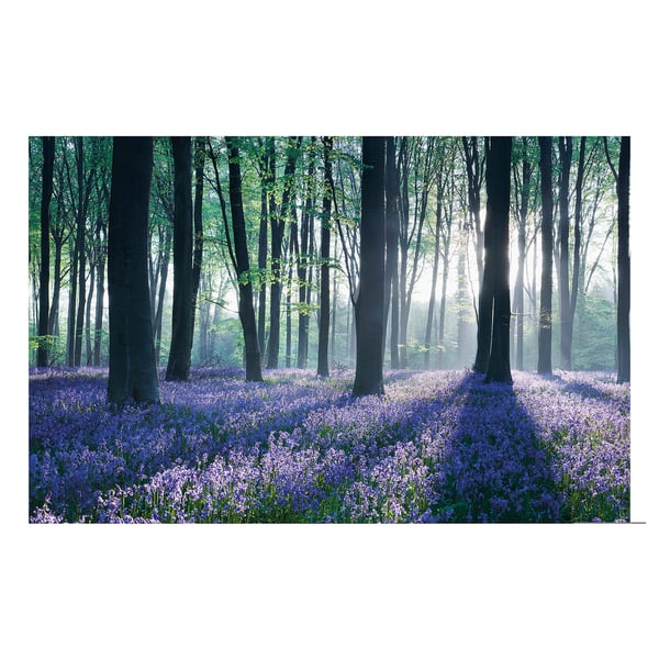 PJÄTTERYD: Blauglockenwald-Druck auf Leinwand, tief gerahmtes Bild.