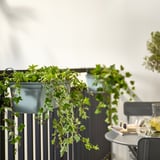 An einem Balkongeländer hängen zwei grüne ROSENKÅL-Blumenkästen, gefüllt mit hängenden Pflanzen, neben Kleinmöbeln und Gläsern.