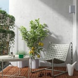 Balkon mit SKOGSÖN-Stuhl, Zitronenbaum und Zubehör.
