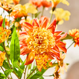 SMYCKA Kunstblumenstrauß, drinnen/draußen/orange, 60 cm