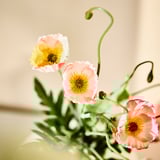SMYCKA Kunstblumenstrauß, Mohn drinnen/draußen/orange, 36 cm