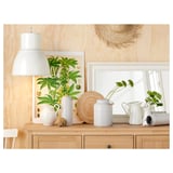 Holzregal mit Dekor, Lampe, Pflanzen, Korb, Blattposter