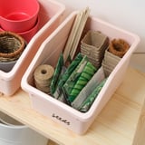 Eine rosafarbene SOCKERBIT-Aufbewahrungsbox mit Samen, Bindfaden und Pflanztöpfen, auf der Vorderseite mit Samen beschriftet.