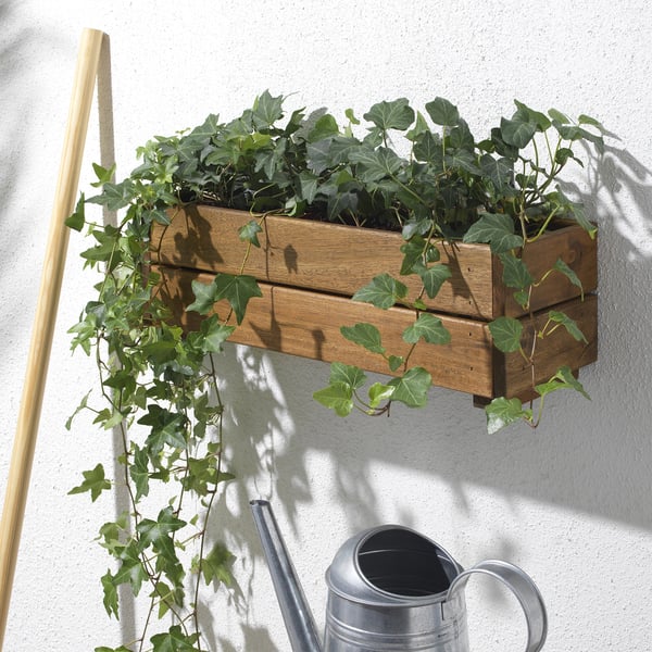An einer weißen Wand ist ein hölzerner Wandpflanzkasten montiert, der mit hängenden Grünpflanzen gefüllt ist. Unterhalb des Pflanzgefäßes befindet sich eine silberne Gießkanne.