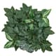 Artificial wall plants