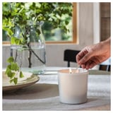 In a hand lights a white ADLAD scented candle in a ceramic jar. Nearby, a vase with green leaves sits on a wooden plate.