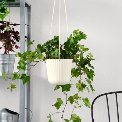 A white hanging planter with green ivy plants cascading down, displaying a vertical garden setup.