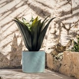 Two blue stoneware pots with textured designs sit outdoors against a white wall, one with overhanging plant leaves.