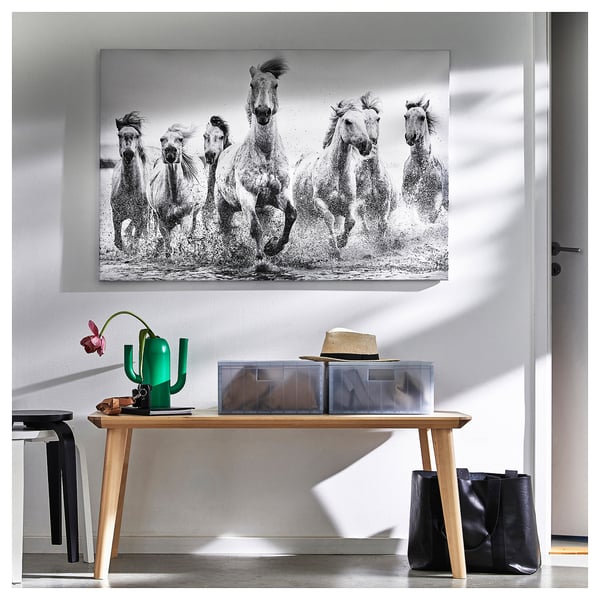 Large black and white horse photo on wall above wooden console table with green cactus, hat, and bag.