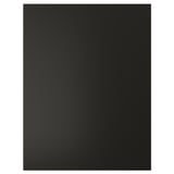 BODBYN, black door panel, 25-yr guarantee, acrylic paint, fibreboard.