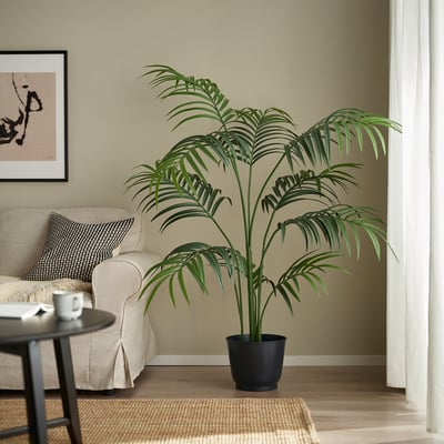 BROKTRAST Plant pot, in/outdoor/dark grey, 24 cm