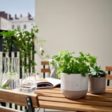 Gray buskaprifol pots with plants on wooden table, ideal for reading and relaxing.