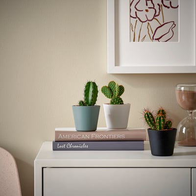 Small cacti in green, white, and black pots atop books and side table near wall art.