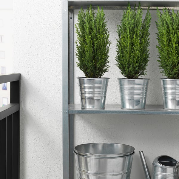 Three evergreen plants in metal pots on shelves, two small buckets below.