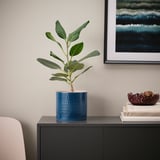 Modern black cabinet with blue textured stoneware planter housing green plant, styled next to a framed ocean wave print, light pink chair.
