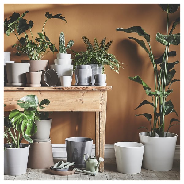 Display of various CITRUSFRUKT plant pots in neutral colors on wooden shelf, showing timeless design and durability.