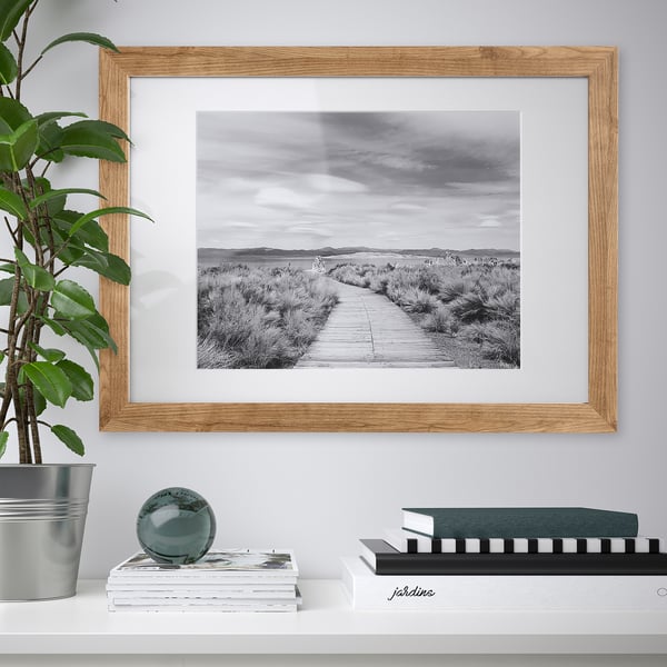 Framed black-and-white landscape photo on wall above desk with plant, books, and sphere.