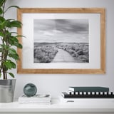 Framed black-and-white landscape photo on wall above desk with plant, books, and sphere.