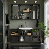 Modern dark green bathroom with ENHET open storage, mirrored cabinets, sink, and plant.