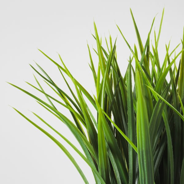 Bunch of vibrant green artificial grass blades, lifelike and fresh, dense and full, on a plain white background.