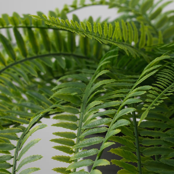 Vibrant, realistic houseplant with lush, green fronds and sturdy stems, potted for year-round beauty.
