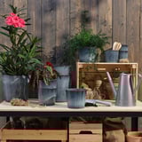Wooden shelf with potted plants in blue FJÄRILSBUSKE pots, including one with pink flowers. A watering can, gardening tools, and burlap bags below.