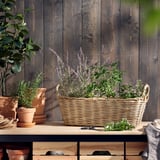 Handwoven light brown basket on table with plants.