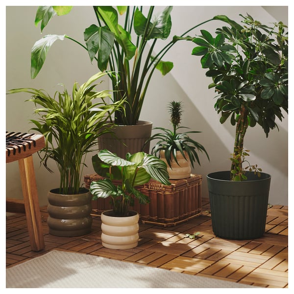 FRÄKENVÄXT Plant pot, in/outdoor/dark grey-beige, 24 cm