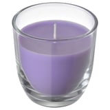 GOLIATTUJA lavender scented candle in clear glass cup with white wick.
