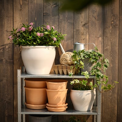 Metal shelf with plants in pink, terra cotta, and white pots. Includes watering can and twine.