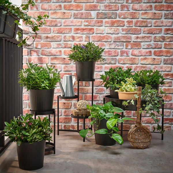 Potted plants on stands against brick wall. Various sizes, lush greenery.