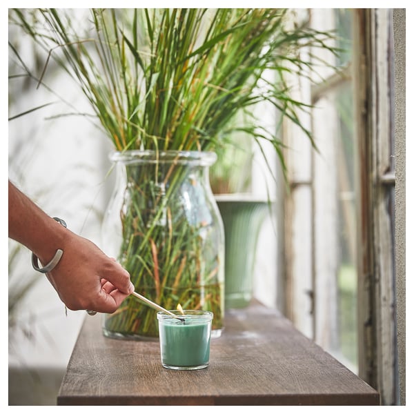 A person lights a green HEDERSAM candle on a rustic wooden shelf next to a large glass vase filled with tall green plants near a window.