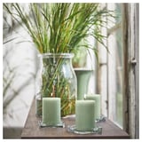 Image two green HEDERSAM scented candles on a wooden shelf. Candles have glass holders, and a green plant in a clear glass vase is behind them.