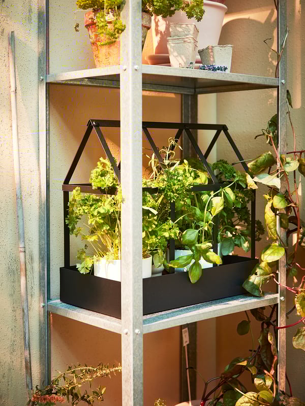 A HYLLIS galvanized steel shelving unit with black frames holding various potted plants and greenery.