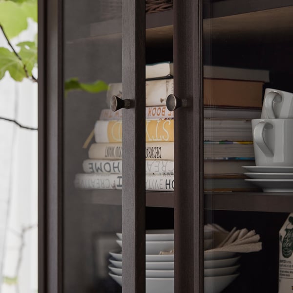 Glass-doored black cabinet with stacked books and plates.