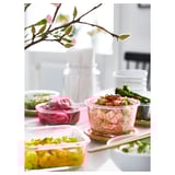 Food containers with various meals, including sushi and corn, arrangements of dishware on a table, decorated with floral branch.