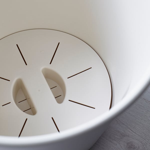 Self-watering plant on table