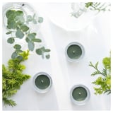 Three green JÄMTSKOGEN pine-scented candles in silver holders, surrounded by eucalyptus and cedar leaves on a white surface.
