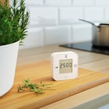 White alarm clock displaying 25:00 on wooden table, beside a plant and rosemary.