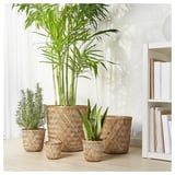 Four woven bamboo plant pots in varying sizes with green plants inside, displayed on a light wooden floor in a bright room.